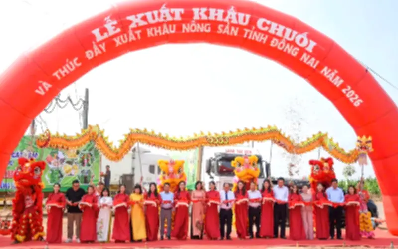 Chuối Đồng Nai Khẳng Định Vị Thế Với 220 Tấn Xuất Khẩu Trong Ngày Đầu Năm 2026