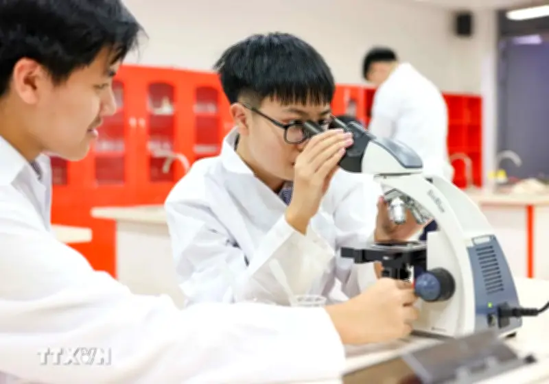 Chuyên gia chỉ rõ điểm nghẽn trong đào tạo và trọng dụng nhân tài tại hội thảo