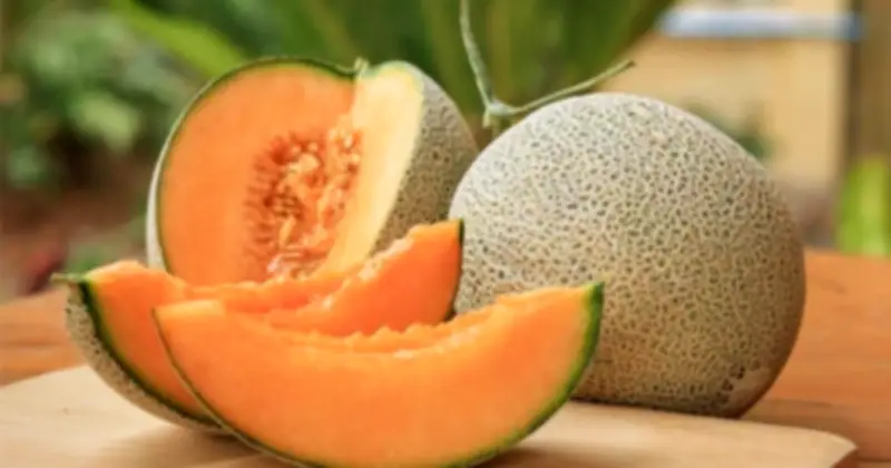 Chuyên Gia Dinh Dưỡng Chia Sẻ Bí Quyết Giải Nhiệt Cơ Thể Trong Ngày Nắng Gắt