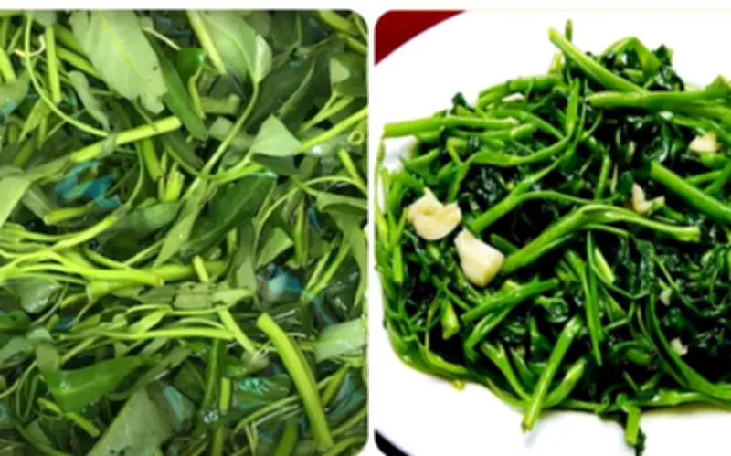 Chuyên gia dinh dưỡng giải đáp: Người bị sỏi thận có nên ăn rau muống?