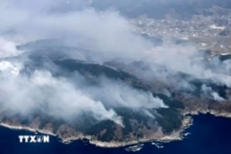 Cháy rừng ở Đông Bắc Nhật Bản lan rộng thiêu rụi hơn 200ha