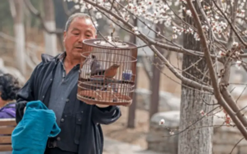 Cải Vã Với Con Dâu, Tôi Tìm Ra Cách Sống Để Tuổi Già An Yên, Dễ Thở Hơn