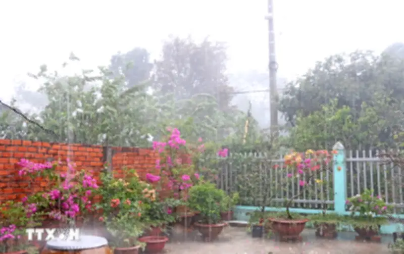 Cơn Mưa Lớn Giải Hạn, Giảm Nóng Ở An Giang Giữa Mùa Khô