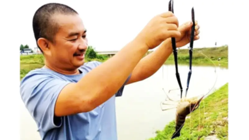 Cơn sốt câu tôm càng xanh trên sông Dinh: Lộc sông bạc triệu và nỗi lo cạn kiệt