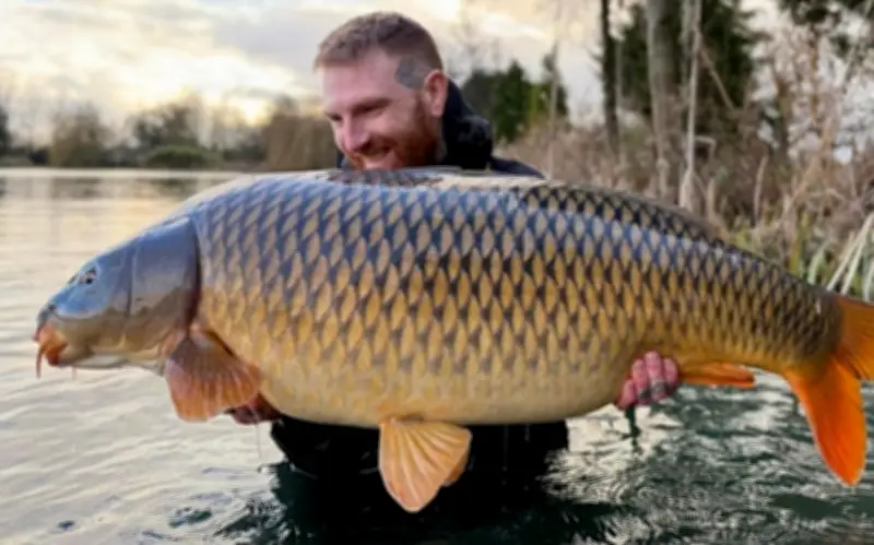 Cần thủ Anh câu được cá chép khổng lồ 'The Kraken' nặng gần 29kg