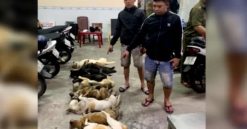 Cần Thơ: Bắt giữ hai nghi phạm trộm chó trang bị súng tự chế và bộ kích điện