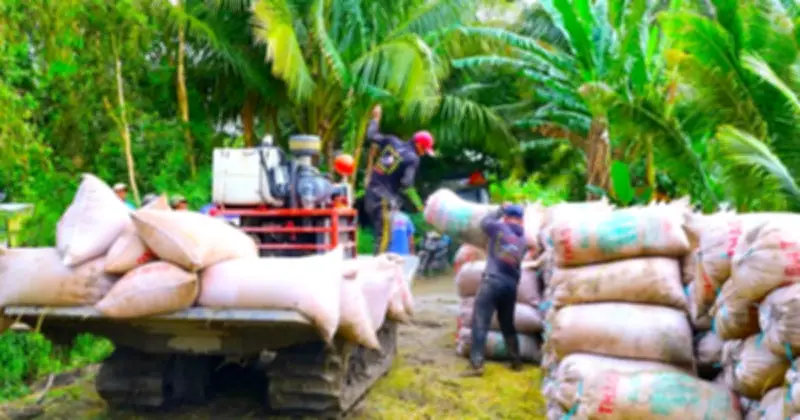 Cần Thơ họp khẩn tháo gỡ khó khăn cho doanh nghiệp lúa gạo giữa cơn bão giá