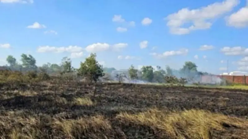 Cần Thơ: Người phụ nữ tử vong thương tâm do ngạt khói khi đốt rơm