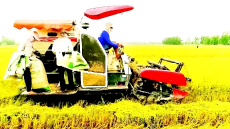 Cần Thơ: Tín dụng tăng trưởng mạnh nhưng vẫn tồn tại nhiều thách thức