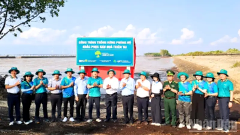 Cần Thơ: Trồng 240.000 Cây Rừng Ngập Mặn, Mở Rộng Chương Trình Xanh Toàn Quốc