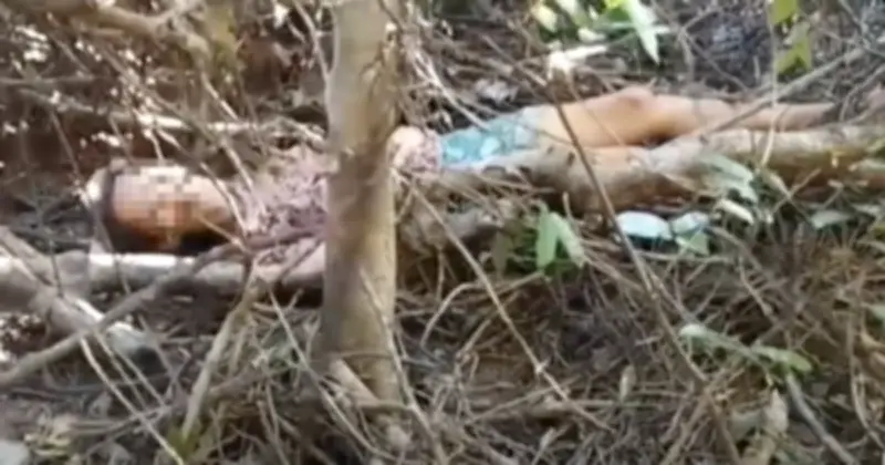 Công an Gia Lai giải cứu thành công phụ nữ mất tích 10 ngày trong rừng sâu