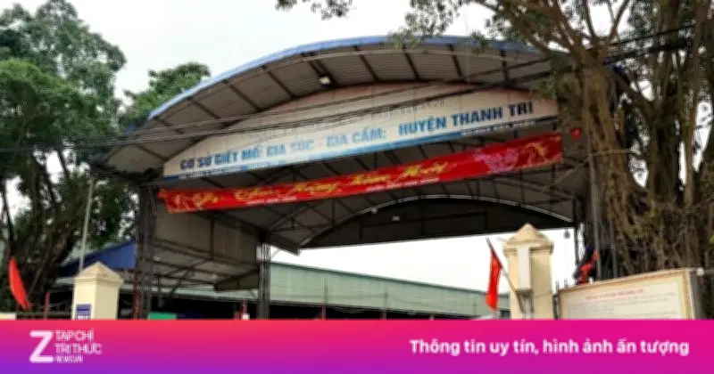 Công An Hà Nội Khởi Tố Vụ Thu Tiền Trái Phép Tại Lò Mổ Vạn Phúc