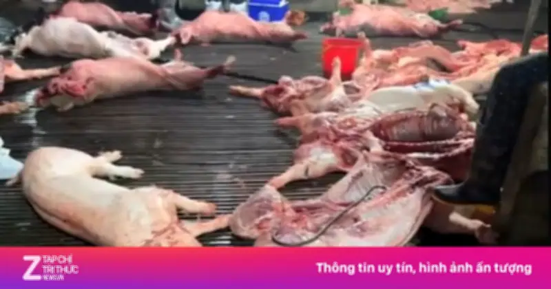 Công an Hà Nội truy xuất 300 tấn lợn bệnh vào bếp ăn tập thể, khởi tố 8 bị can