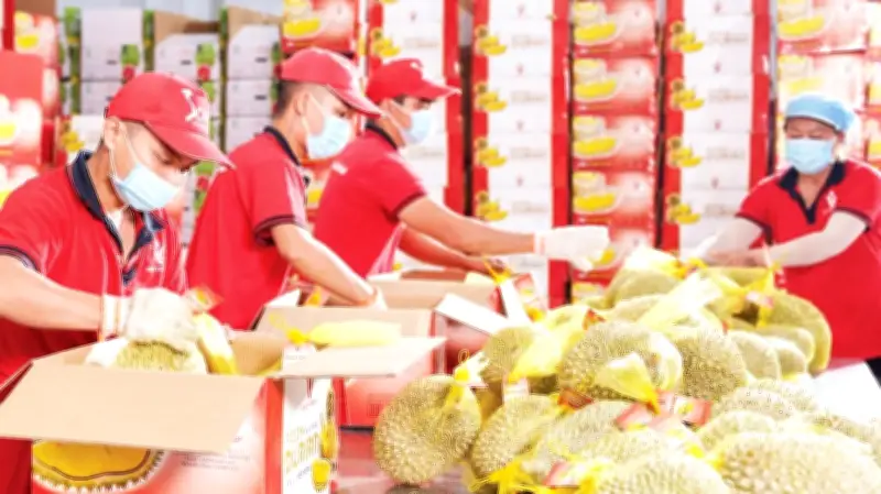 Công Nghệ Số Hóa Ruộng Đồng: Giải Pháp 'Hạt Nhân' Và Thách Thức Dữ Liệu