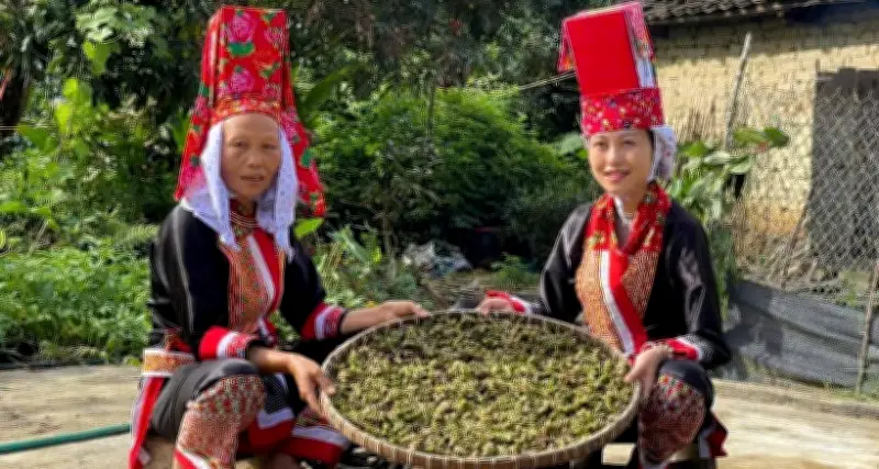 Công Nghệ Số Vượt Núi Băng Rừng, Thay Đổi Cuộc Sống Vùng Cao