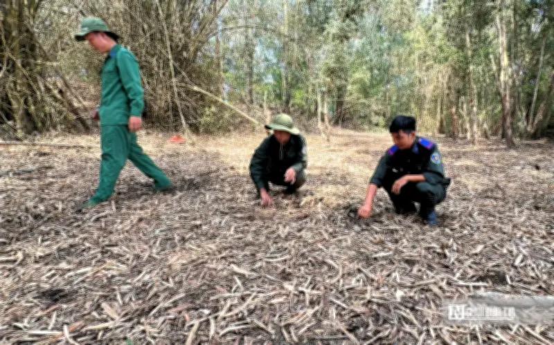 Công nghệ và con người bảo vệ rừng Tràm Chim mùa khô