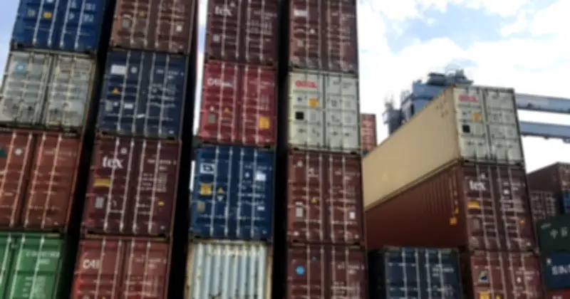 Công ty Anh Trang bị cưỡng chế dừng thủ tục hải quan vì nợ thuế gần 4,7 tỉ đồng