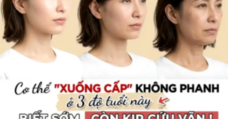 Cảnh báo 3 giai đoạn lão hóa da ở tuổi 34, 60 và 78: Đừng chủ quan