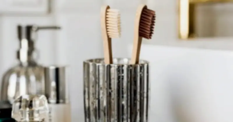 Cảnh báo: Để bàn chải đánh răng thẳng đứng tạo 'thiên đường' cho vi khuẩn