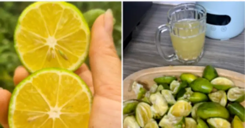 Cảnh báo: Bệnh nhân ung thư tử vong sau khi bỏ viện, tự chữa bằng chanh liều cao