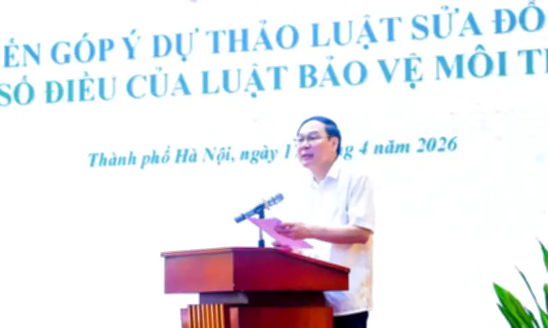 Cảnh báo: Chi phí khắc phục môi trường có thể vượt xa lợi ích kinh tế