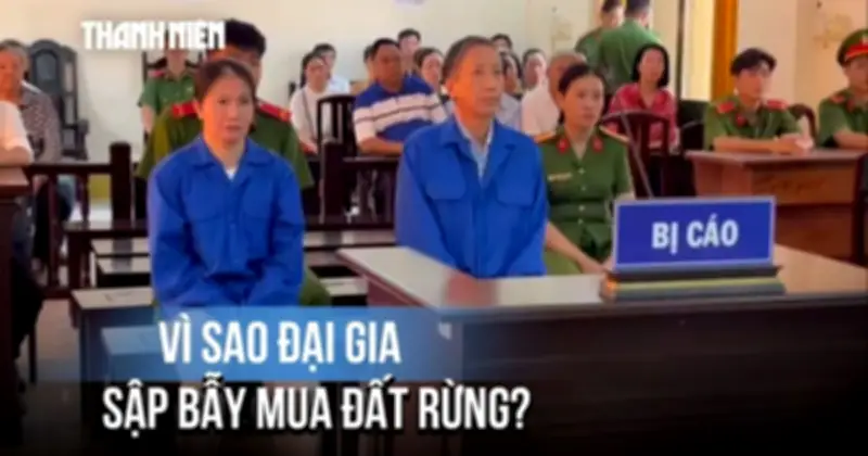 Cảnh báo chiêu trò lừa đảo mua đất rừng của cựu trưởng công an Phú Quốc