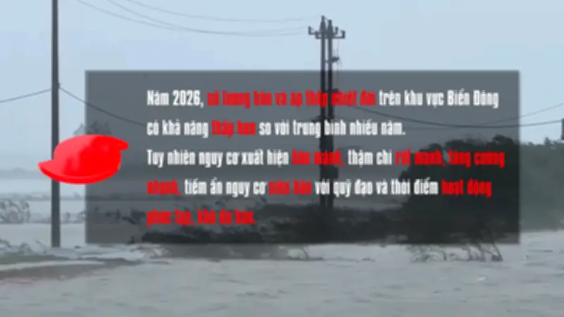 Cảnh báo gia tăng bão và áp thấp nhiệt đới trong 3 tháng tới tại Việt Nam