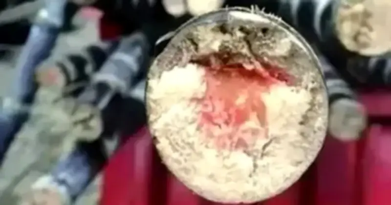 Cảnh báo ngộ độc mía mốc dịp Tết Thanh Minh: Chỉ 0,5 gram độc tố có thể gây tử vong