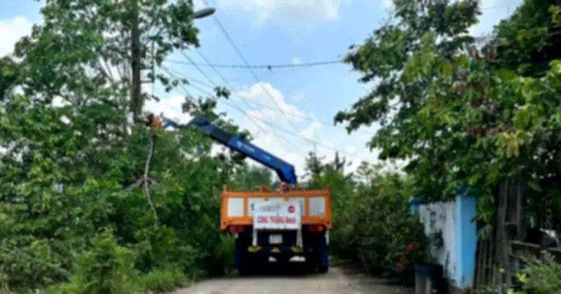 Cảnh báo nguy cơ cháy nổ từ thói quen đốt lá cây gần đường dây điện tại TP.HCM