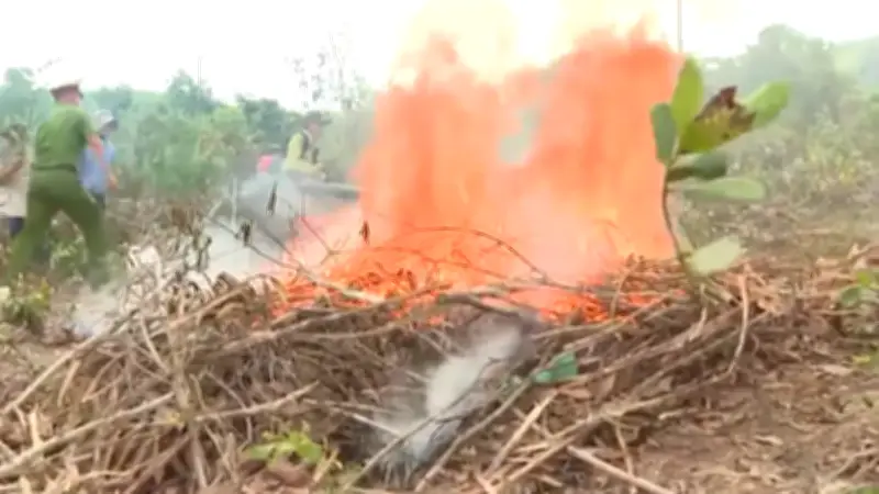 Cảnh báo nguy cơ cháy rừng cao trong tháng 4 tại nhiều khu vực