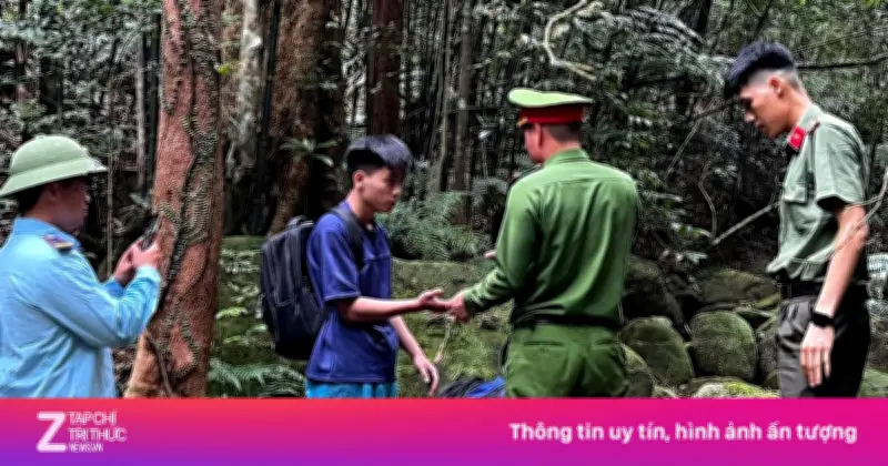 Cảnh báo sau vụ du khách đi lạc, bị ong đốt ở Tây Yên Tử