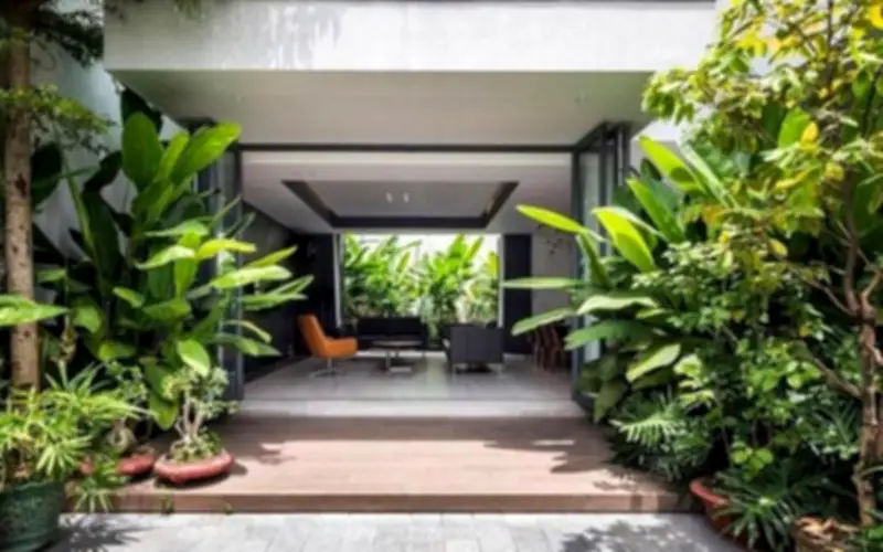 Cảnh báo tác hại khi trồng quá nhiều cây phong thủy trong nhà