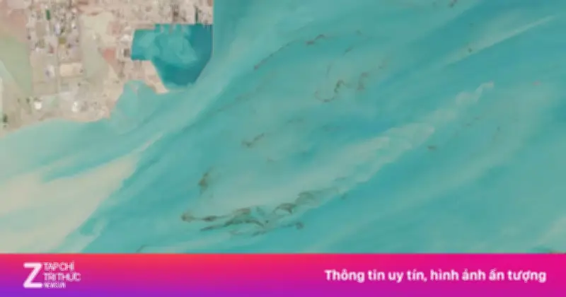 Cảnh báo thảm họa môi trường từ vết dầu loang trên Vịnh Ba Tư