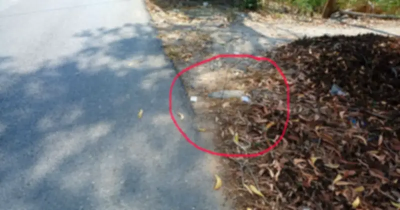 Cảnh báo tín dụng đen tại Cần Thơ: Rải tờ rơi lừa đảo, người dân cần thận trọng