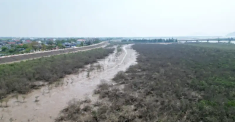 Cảnh tượng bất thường ven biển Hà Tĩnh: Nước biển đổi màu, nguyên nhân chưa rõ