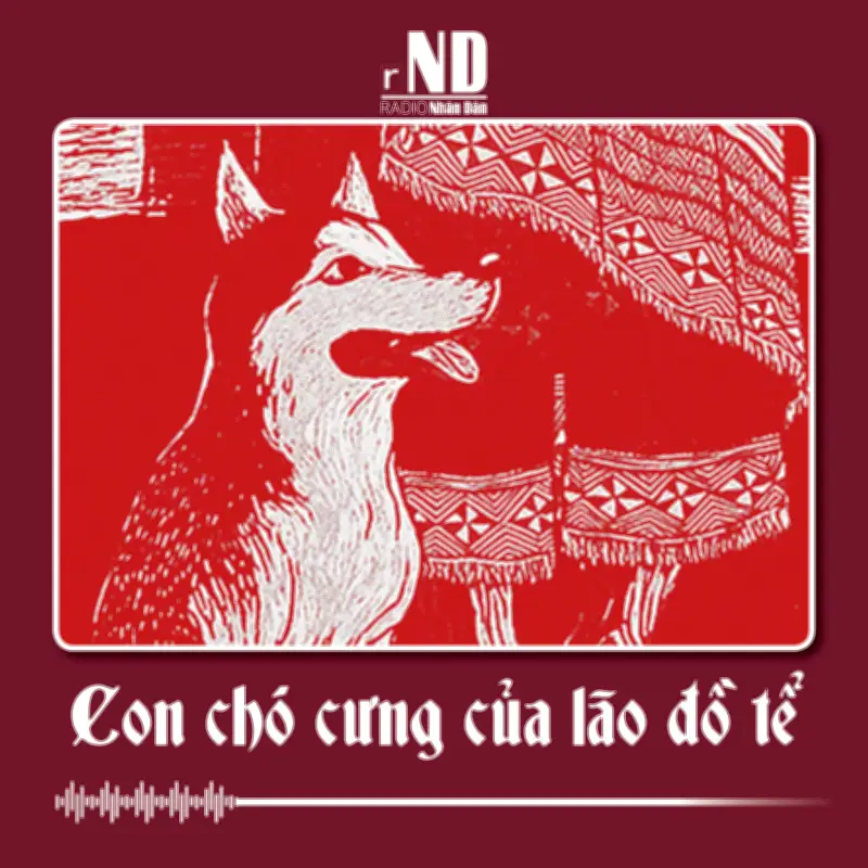 Con Chó Vện Và Lão Hủm: Câu Chuyện Cảm Động Về Sự Xa Lánh Và Thay Đổi