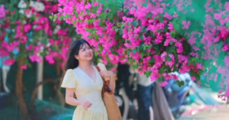 Con đường hoa giấy hơn 300m ở Nha Trang hút giới trẻ check-in