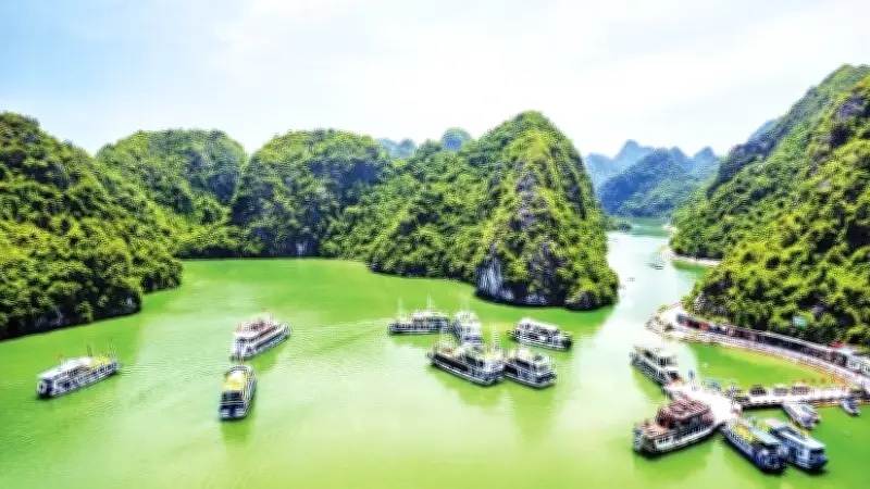 Cát Bà Định Hướng Du Lịch Xanh, Đạt Thành Công Ấn Tượng Năm 2025