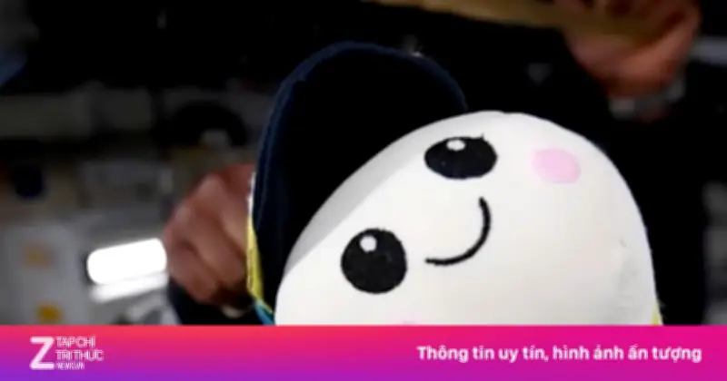 Cậu bé 8 tuổi thiết kế gấu bông Rise - chỉ báo không trọng lực trên tàu Artemis II của NASA