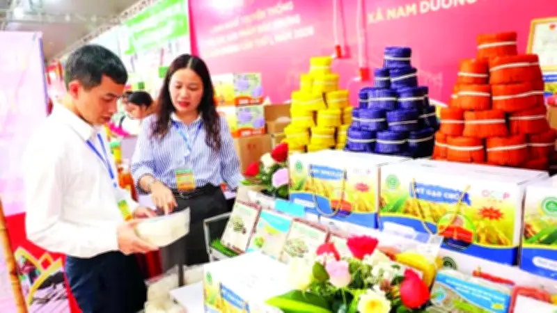 Câu lạc bộ hợp tác xã: Hướng đi mới trong sản xuất nông nghiệp Bắc Ninh