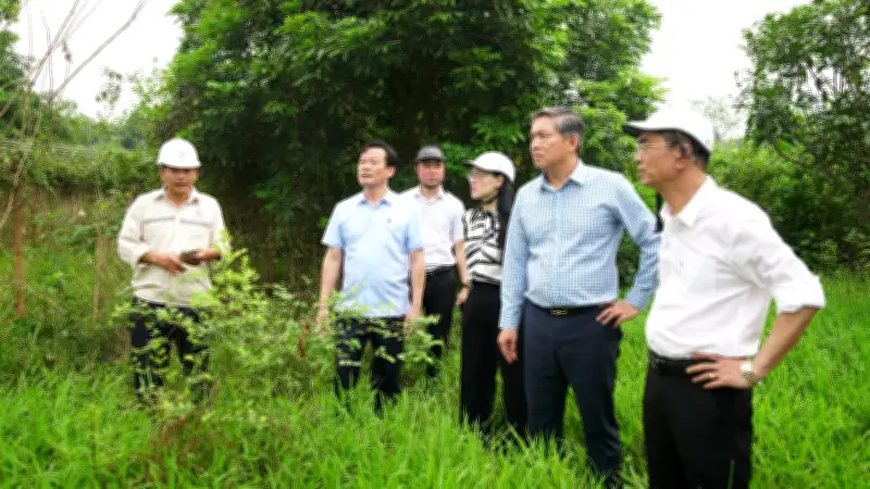 Cầu Tứ Liên: Tiến độ giải phóng mặt bằng đạt hơn 35%, người dân đồng thuận bàn giao đất