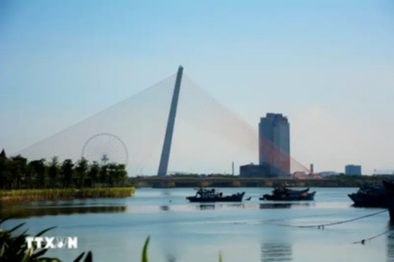 Cầu Trần Thị Lý Đà Nẵng: Tuyệt tác 'Cánh buồm' vươn khơi với trụ tháp nghiêng 12 độ