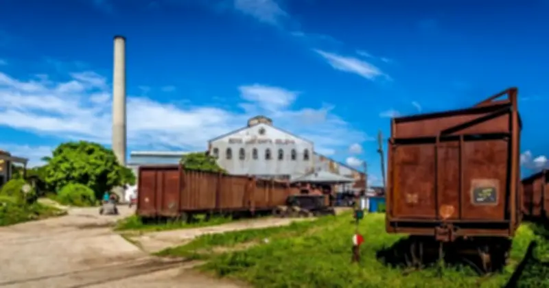 Cuba đề xuất kế hoạch vực dậy ngành công nghiệp mía đường từng là xương sống kinh tế