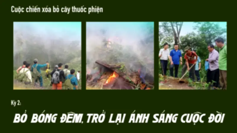 Cuộc chiến xóa bỏ cây thuốc phiện ở vùng cao Tây Bắc: Hành trình thay đổi tư duy và tập quán