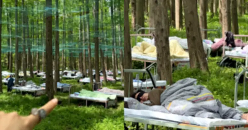 Cuộc thi ngủ trong rừng tại Thượng Hải gây sốt mạng xã hội