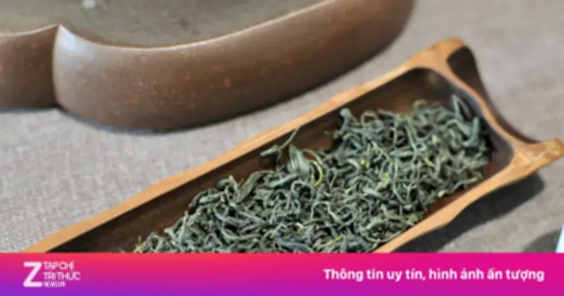 Cuốn Sách Khám Phá Toàn Diện Về Trà: Hành Trình Vạn Lý Của Lá Trà