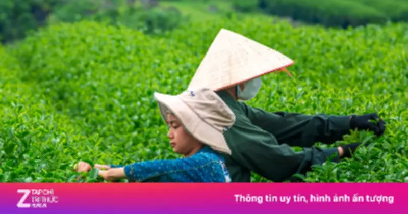 Cuốn Sách Khám Phá Trọn Vẹn Lịch Sử Và Văn Hóa Trà Qua Các Thời Đại