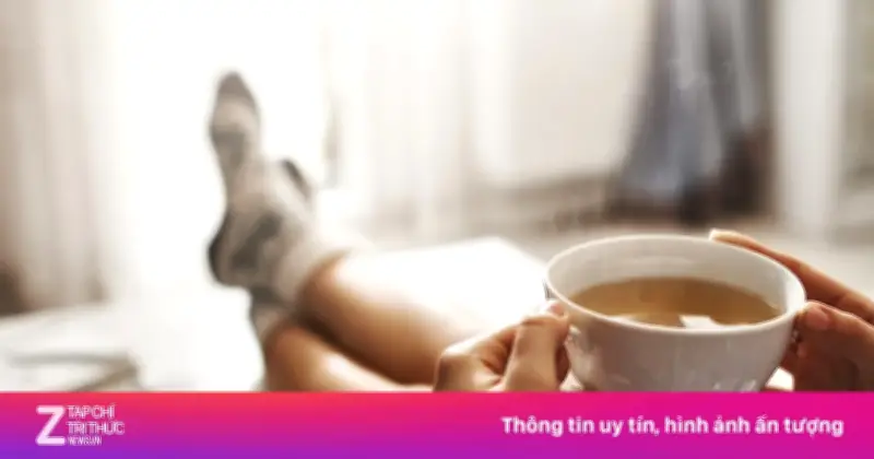 Cuốn Sách Khám Phá Trọn Vẹn Lịch Sử Và Văn Hóa Trà: Từ Nguồn Gốc Đến Nghi Lễ Thưởng Thức