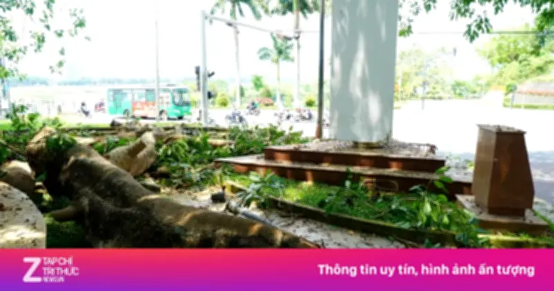 Cây đa di sản trăm tuổi bất ngờ gãy nhánh, hàng chục người thoát chết
