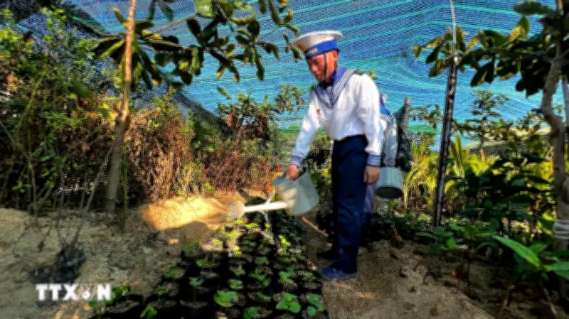 Cây cúng học làm linh ở nơi đầu sóng